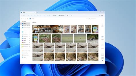 galeria zdjęć różnych typów szorowarek: prowadzonej, samojezdnej, kompaktowej