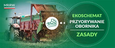 infografika przedstawiająca schemat rozsiewu nawozów w rzędach upraw sadowniczych lub jagodowych