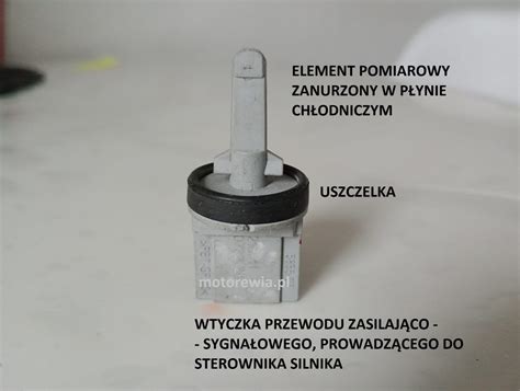 zdjęcie pokazujące lokalizację czujnika temperatury płynu chłodzącego w silniku