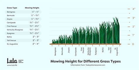 Infographic showing different lawn mowing heights