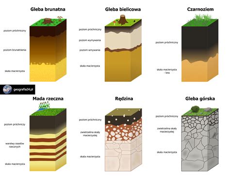 Różne typy gleby i zalecane głębokości bronowania - infografika