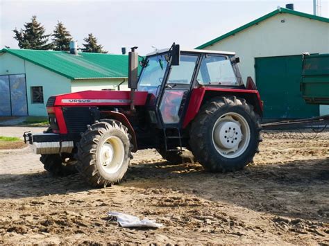 Ursus 1614 podczas pracy w transporcie drewna z przyczepą