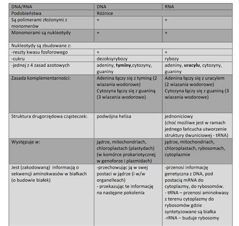 Tabela przedstawiająca różnice w budowie sekcji wysiewających MS