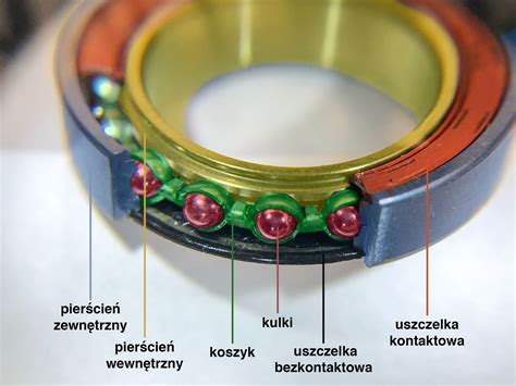 infografika: przekrój łożyska kulkowego