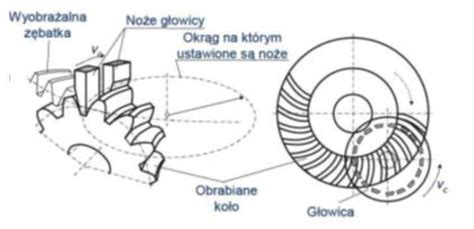 Schemat przekładni kół zębatych w siewniku zbożowym Isaria