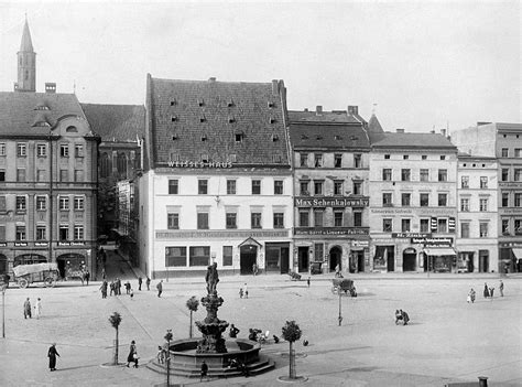 Zdjęcie przedstawiające odnalezione fragmenty macew ułożone na posesji w Kaźmierzu, służące jako dowód historycznej obecności społeczności żydowskiej