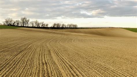 Photo of a perfectly plowed field