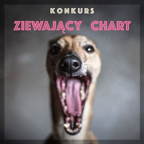Zdjęcie przedstawiające główną siedzibę JCB w Staffordshire, Anglia