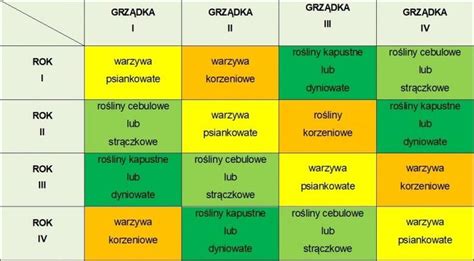 Schemat porównujący zachwaszczenie w uprawie orkowej i bezorkowej