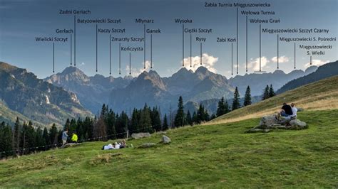 zdjęcie panoramiczne Rusinowej Polany z widokiem na Tatry
