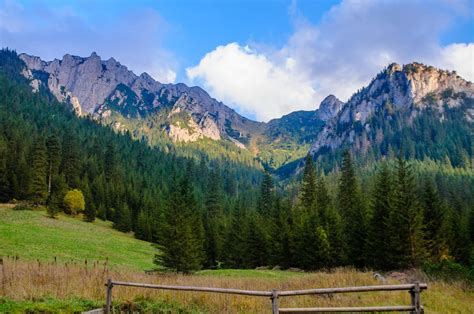 zdjęcie Doliny Kościeliskiej z bryczką góralską