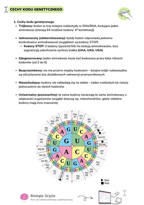 infografika przedstawiająca cechy rozsiewacza Alentix
