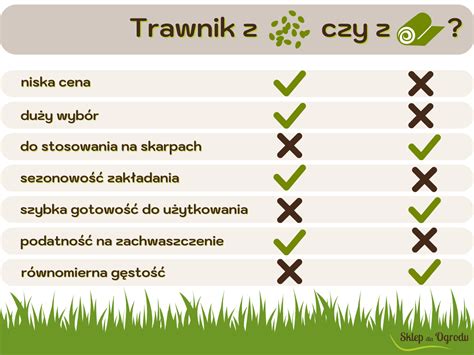 Infografika porównująca wzrost zwykłej trawy i trawy samozagęszczającej z widocznymi kłączami