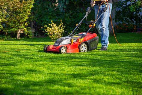 zdjęcie różnych modeli kosiarek listwowych