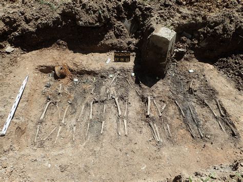 Zdjęcie archeologicznych znalezisk fibul z grobów
