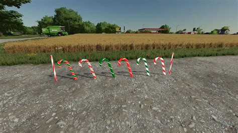 Zrzut ekranu z gry Farming Simulator 17 przedstawiający pole trzciny cukrowej