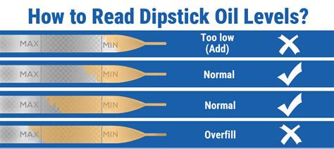 Diagram showing how to check engine oil level using a dipstick
