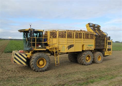 Zdjęcie kombajnu ROPA Tiger 6 na polu podczas zbioru buraków