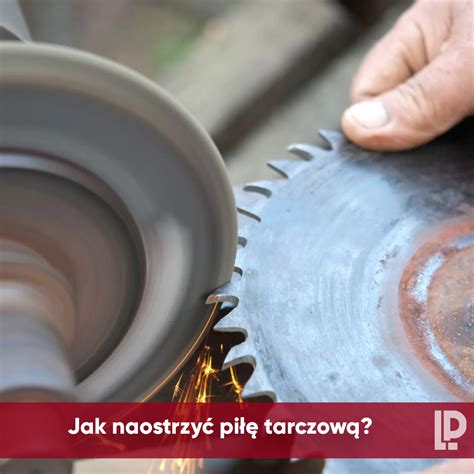 Tematyczne zdjęcie przedstawiające piłę taśmową i piłę tarczową obok siebie