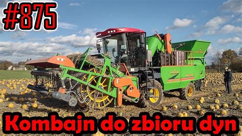 Samojezdny kombajn do zbioru pestki dyni w akcji