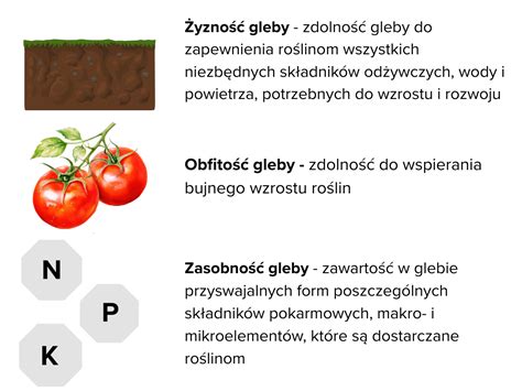 infografika przedstawiająca znaczenie pH gleby dla upraw roślin