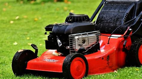 zdjęcie różnego rodzaju kosiarek spalinowych na tle zielonego ogrodu