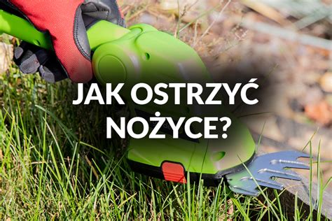 Infografika przedstawiająca kluczowe parametry wyboru nożyc spalinowych do żywopłotu (moc, waga, długość ostrza)