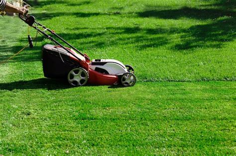 Thematic photo of an electric lawnmower cutting grass in a garden