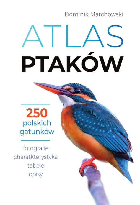 przykładowa strona z atlasu ptaków z ilustracjami ptaka w różnych sytuacjach, piórem i zdjęciem