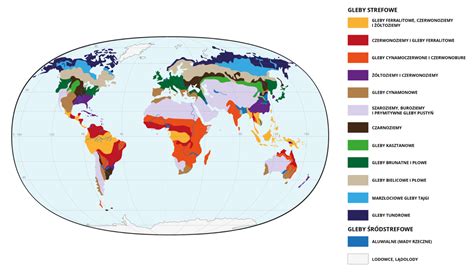 Mapa z zaznaczonymi oddziałami Gregoire-Besson na świecie