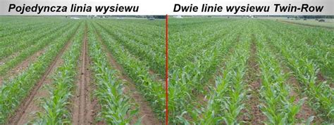 Porównanie siewu tradycyjnego z siewem TWIN-ROW SYNC-ROW®