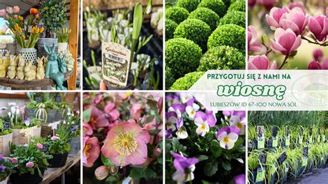 Zdjęcie przedstawiające różnorodne urządzenia ogrodnicze w sklepie