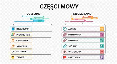 Infografika przedstawiająca podział asortymentu w nowoczesnym salonie bieliźnianym
