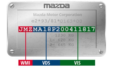 infografika: schemat struktury numeru VIN z podziałem na sekcje WMI, VDS, VIS