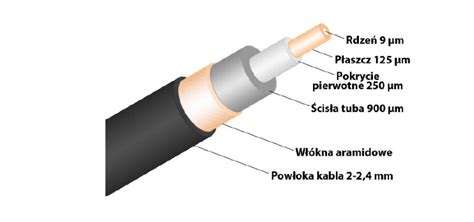 Schemat budowy gąsienicy gumowej: warstwa zewnętrzna z bieżnikiem, stalowe kordy, metalowy rdzeń