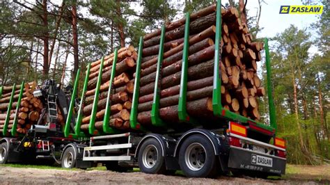 zdjęcie przyczepy rolniczej przystosowanej do transportu drewna w lesie