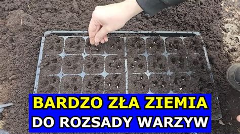 Ilustracja osoby używającej ręcznego rozsiewacza ogrodowego do wysiewu nasion