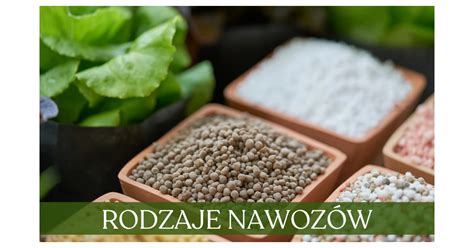 Infografika przedstawiająca różne rodzaje rozsiewanych materiałów (nasiona, nawóz, sól) i ich charakterystykę