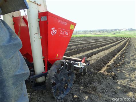 zdjęcie sadzarki Akpil w akcji na polu