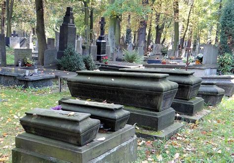 Zdjęcie cmentarza żydowskiego w Woli Michowej, ukazujące nagrobki wśród drzew.