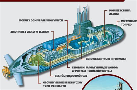 Infografika przedstawiająca przekrój kabiny ciągnika z zaznaczonymi elementami konstrukcyjnymi i bezpieczeństwa (ROPS/FOPS)