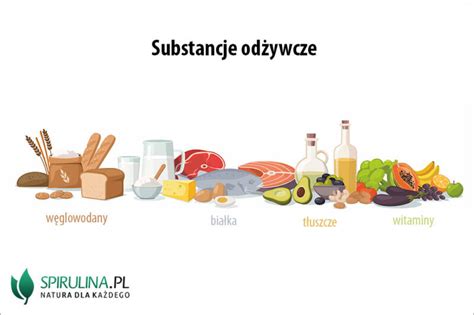 infografika przedstawiająca składniki odżywcze w gnojowicy i straty azotu przy różnych metodach aplikacji
