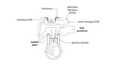 Schemat silnika Cat C3.6 z komponentami układu oczyszczania spalin