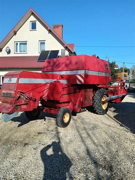 kombajn zbożowy Massey Ferguson w akcji na polu