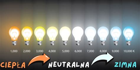 Porównanie wiązek światła lamp halogenowych i LED dedykowanych do maszyn budowlanych