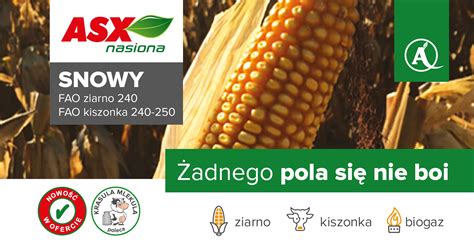 Infografika przedstawiająca różnice między tarczą wysiewającą do kukurydzy a tarczą do nasion drobnych