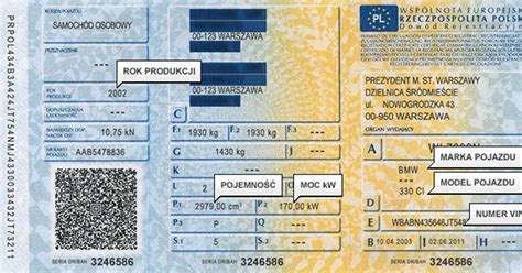 Skan fałszywych dokumentów pojazdu używanych w oszustwie (prawo jazdy, paszport, dowód rejestracyjny)