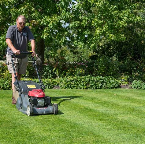 Thematic photo of a person mowing a lawn with an electric lawnmower in a British garden