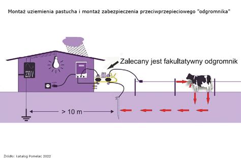 schemat zabezpieczenia pastwiska za pomocą fladr i pastucha elektrycznego