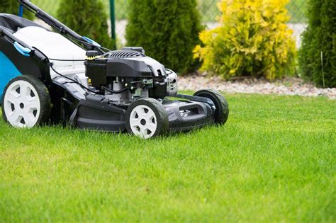 Infografika: Co wziąć pod uwagę przy wyborze kosiarki elektrycznej